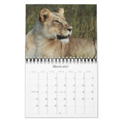 Calendars 2011 - Wilde Afrika - klein formaat Kalender (Mar 2027)