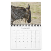Calendars 2011 - Wilde Afrika - klein formaat Kalender (Feb 2026)