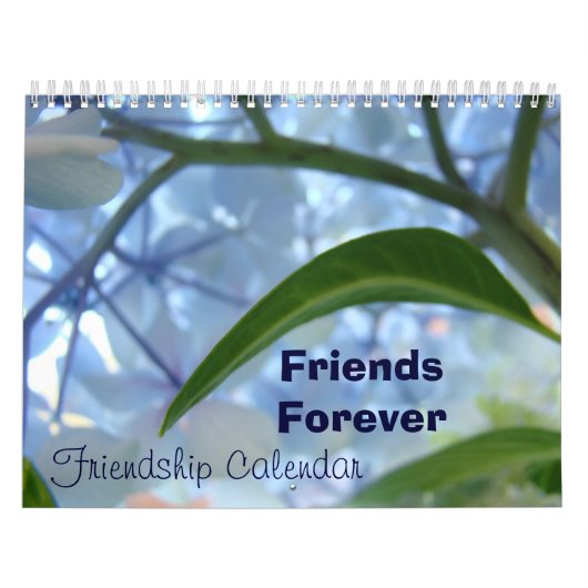Calendars Begin elke Maand Friends Forever Vriend Kalender (Hoes)