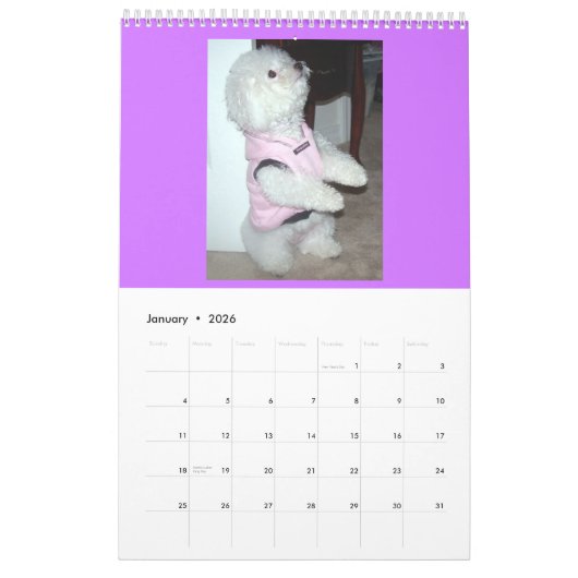 Calender 2010 kalender (Jan 2026)