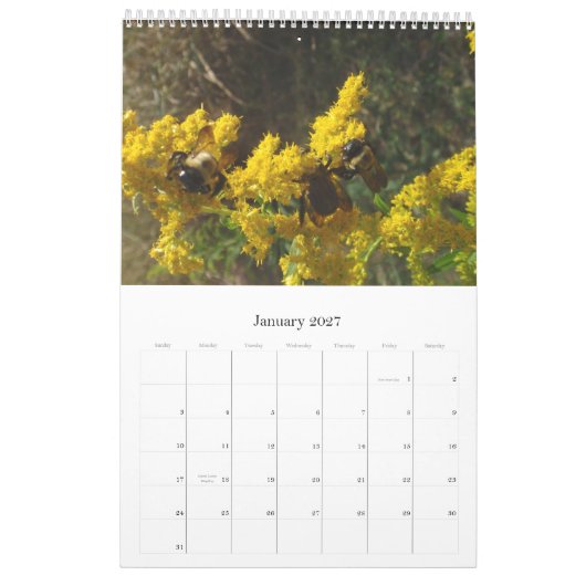 Calender 2011 kalender (Jan 2027)