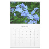 Calender 2011 kalender (Mar 2026)