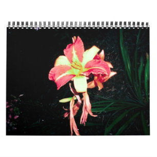 Calender 2012 kalender