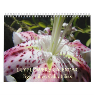 CALENDER LELIES Roze Calla Lily Bloemen Tijgerleli Kalender