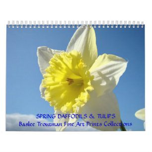 CALENDER LENTE Kalenders Narcissen Tulpen Bloemstu Kalender