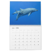 Calendrier des Dauphins カレンダー Kalender (Mar 2026)
