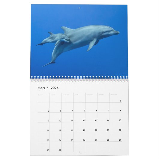 Calendrier des Dauphins カレンダー Kalender (Mar 2026)
