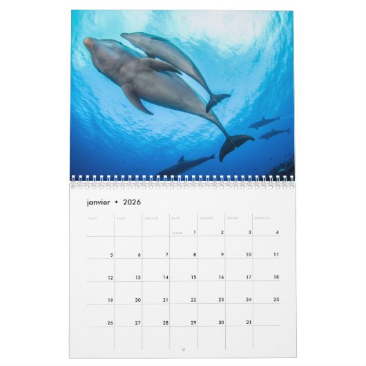 Calendrier des Dauphins カレンダー Kalender (Jan 2026)