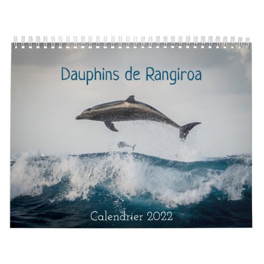 Calendrier des Dauphins カレンダー Kalender (Hoes)
