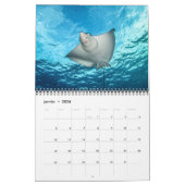 Calendrier des Requins et des Raies カレンダー Kalender (Jan 2026)