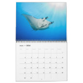 Calendrier des Requins et des Raies カレンダー Kalender (Mar 2026)