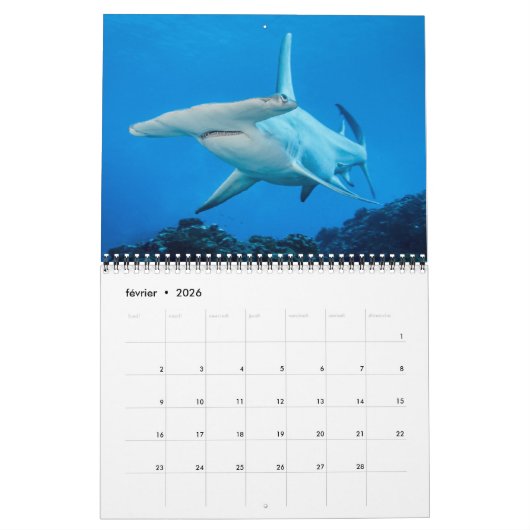 Calendrier des Requins et des Raies カレンダー Kalender (Feb 2026)