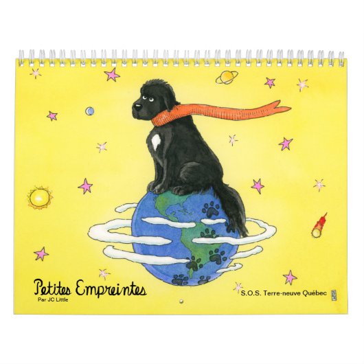 Calendrier humoristique de chiens Terreneuve Kalender (Hoes)