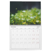 Calendrier Suisse avec Jours Fériés | 2025 Kalender (Feb 2027)
