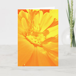 "Calendula" - Bedankkaart