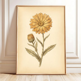 Calendula Bloem Kunst Canvas Print