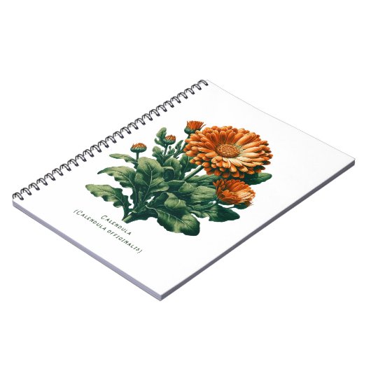 Calendula Bloemen Bloemen Kruidenjournaal Notitieboek (Linkerzijde)