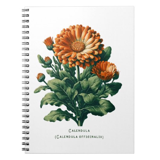Calendula Bloemen Bloemen Kruidenjournaal Notitieboek (Voorkant)
