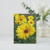 Calendula Blossom Briefkaart (Staand voorkant)