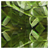 Calendula Garden... Stof (Close Up)