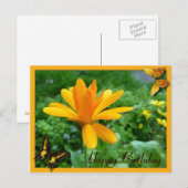 Calendula geel briefkaart (Voorkant / Achterkant)