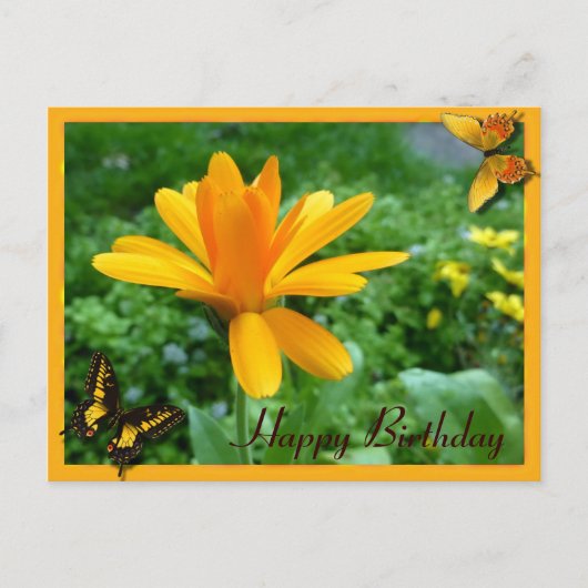 Calendula geel briefkaart (Voorkant)