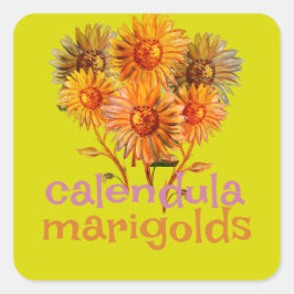 calendula-marigolds vierkante sticker