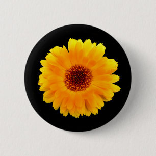 Calendula officinalis Badge Ronde Button 5,7 Cm