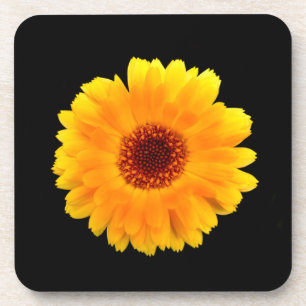 Calendula officinalis bier onderzetter