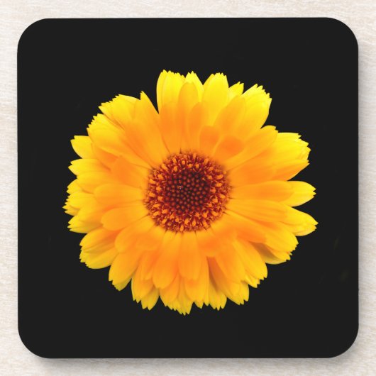 Calendula officinalis bier onderzetter (Voorkant)