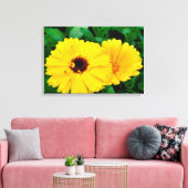 Calendula officinalis canvas afdruk (Insitu (Woonkamer))