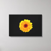 Calendula officinalis canvas afdruk (Voorkant)