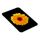 Calendula officinalis magneet (Rechterzijde)