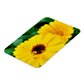 Calendula officinalis magneet (Linkerzijde)