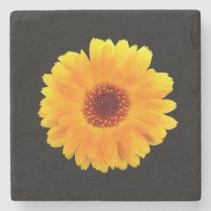 Calendula officinalis stenen onderzetter