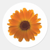 Calendula Ronde Sticker (Voorkant)