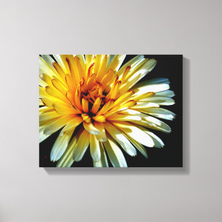 Calendula Wow Canvas Afdruk