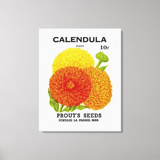 Calendula  zaadpakket canvas afdruk (Voorkant)
