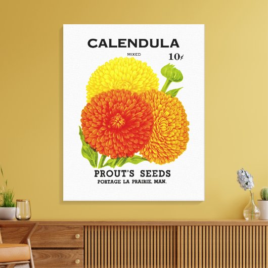 Calendula  zaadpakket canvas afdruk (Insitu (Woonkamer))