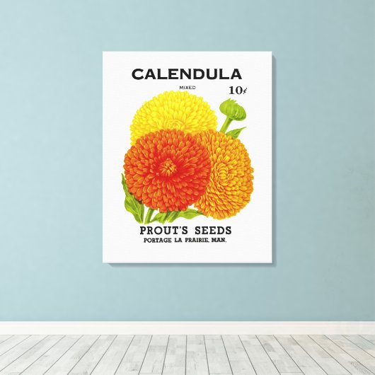 Calendula  zaadpakket canvas afdruk (Insitu (Houten vloer))