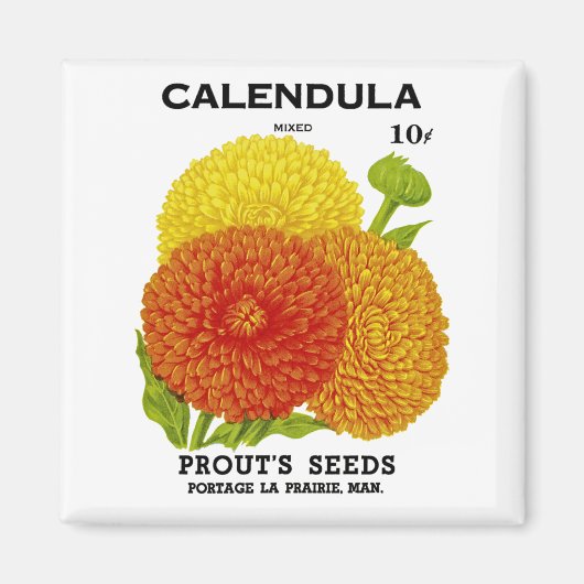Calendula  zaadpakket magneet (Voorkant)