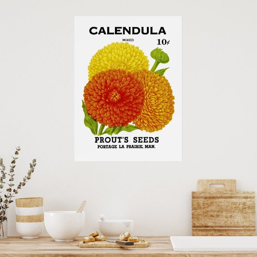 Calendula  zaadpakket poster (Keuken)