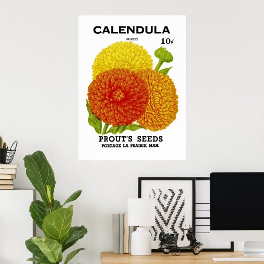 Calendula  zaadpakket poster (Thuiskantoor)
