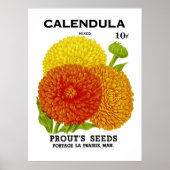 Calendula  zaadpakket poster (Voorkant)