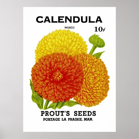 Calendula zaadpakket poster (Voorkant)