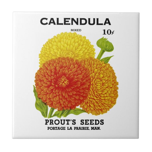 Calendula  zaadpakket tegeltje (Voorkant)