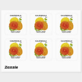 Calendula zaadpakket vierkante sticker (Vel)