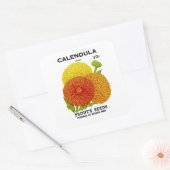 Calendula zaadpakket vierkante sticker (Envelop)