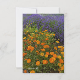 Calendulas & Lavendel Notitiekaartje