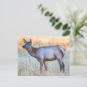 Calf Elk | Madison Junction, Wyoming Briefkaart (Staand voorkant)